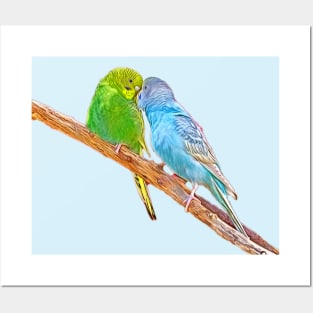 Cute budgies beaking Posters and Art